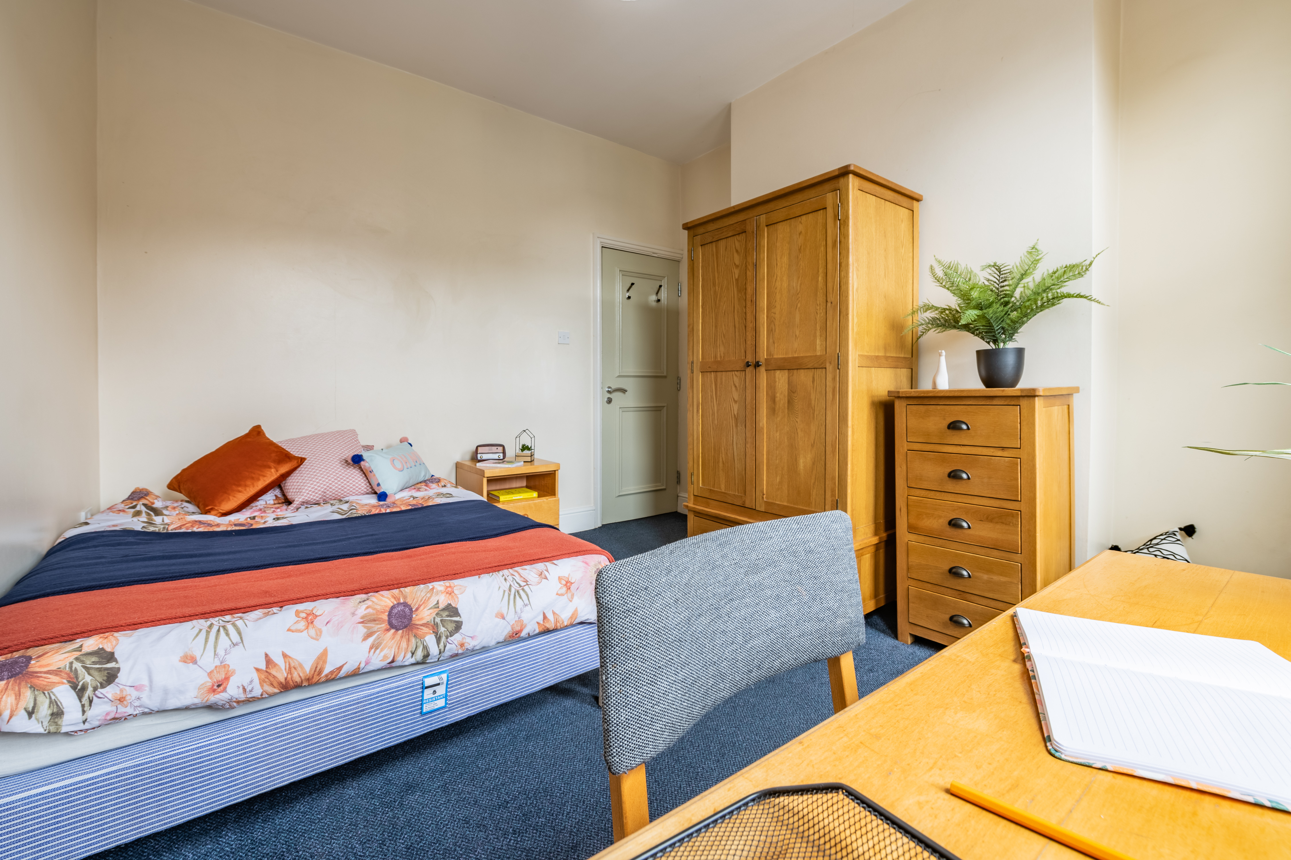 260 Cardigan Rd Accomodation Photography By Bevan Cockerill 28