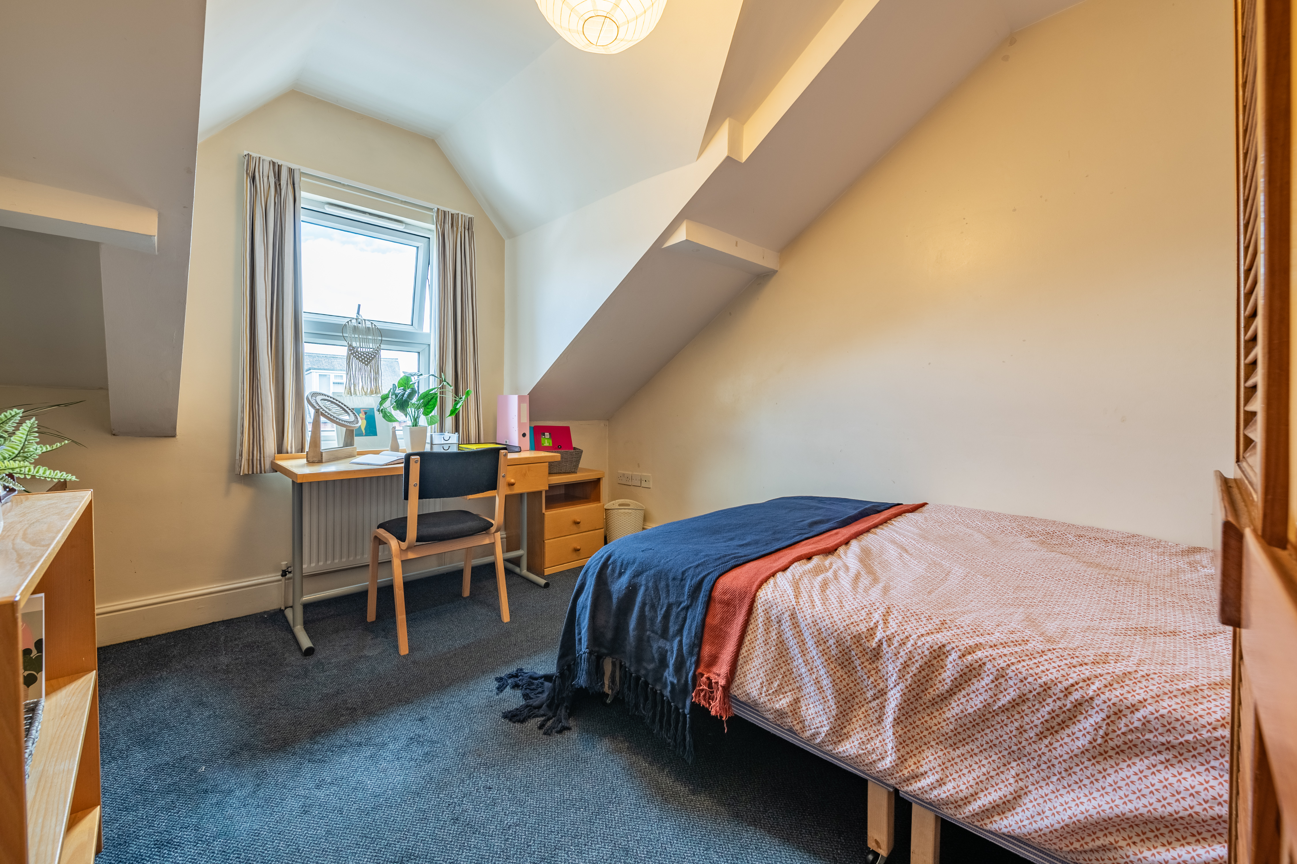 260 Cardigan Rd Accomodation Photography By Bevan Cockerill 40