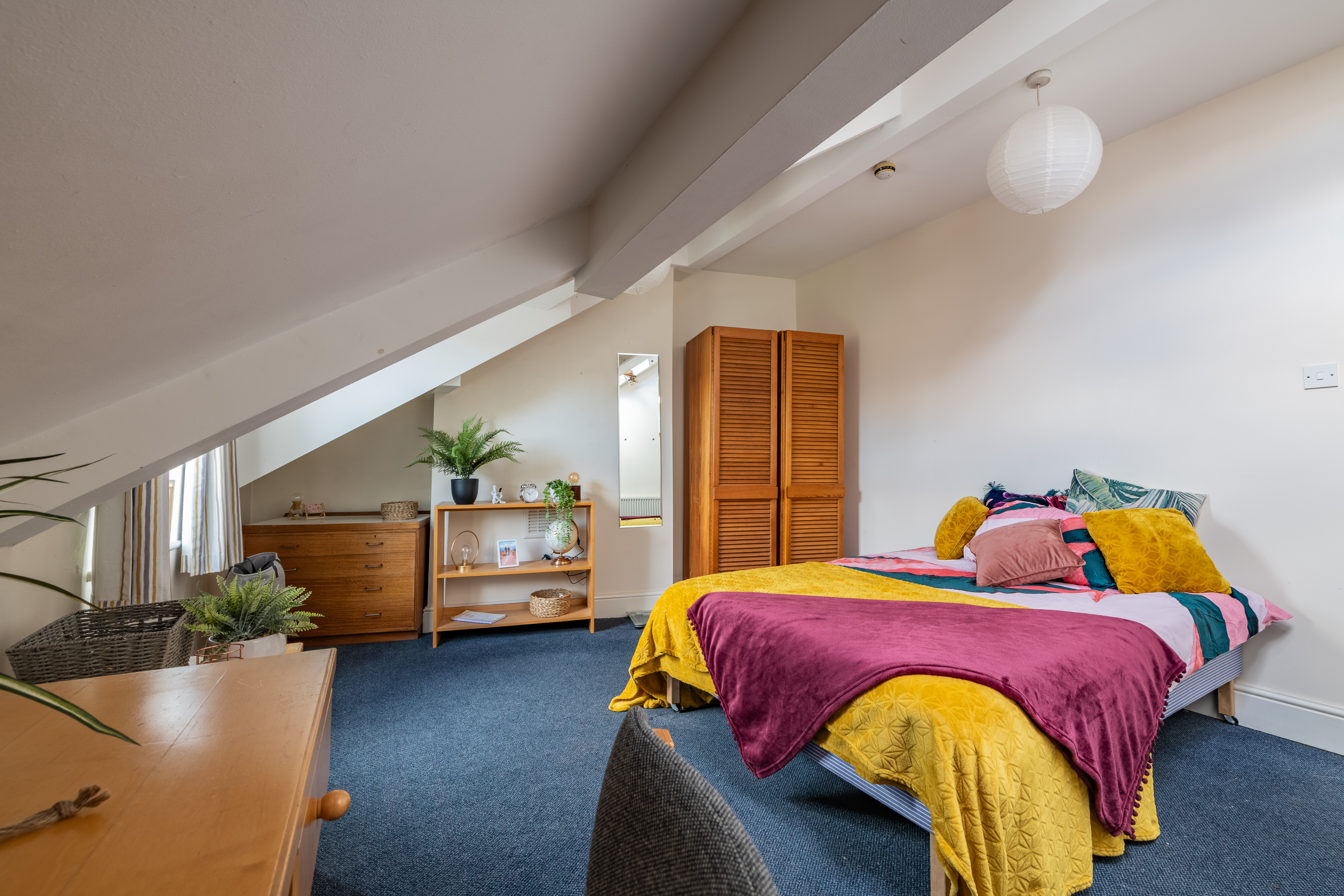 260 Cardigan Rd Accomodation Photography By Bevan Cockerill 48