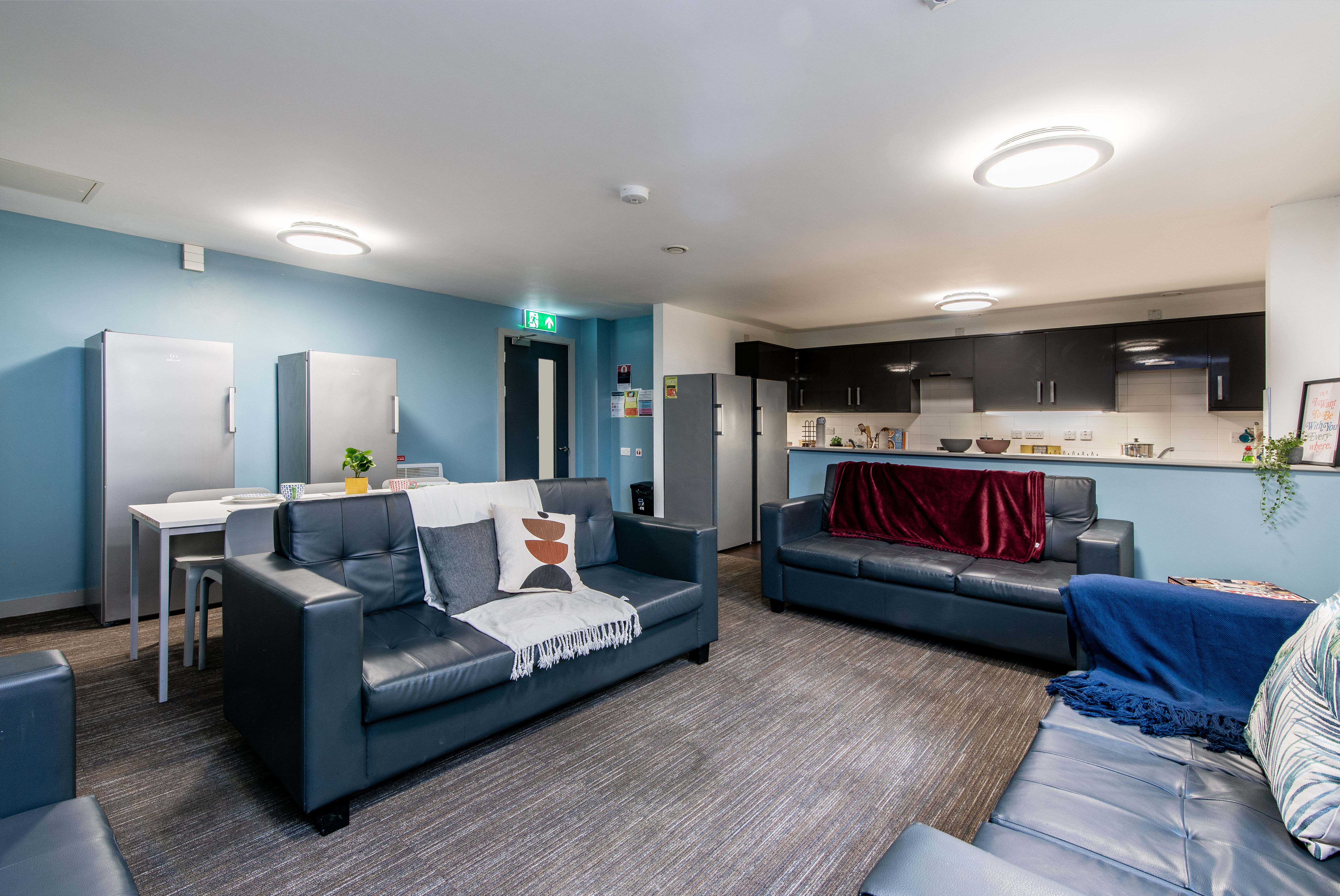 Student Hideout Hi 40