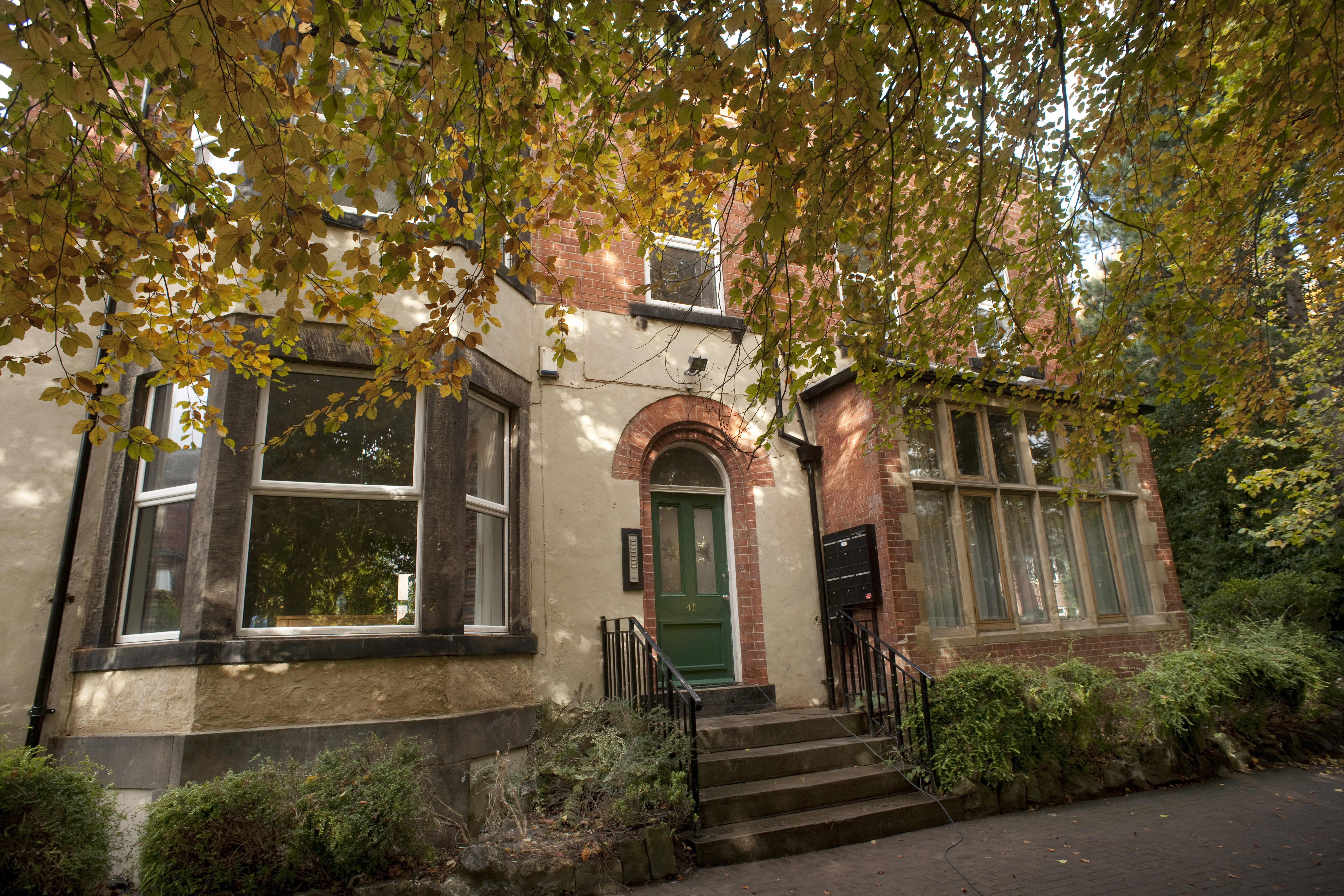 Externals (Large) (1).JPG