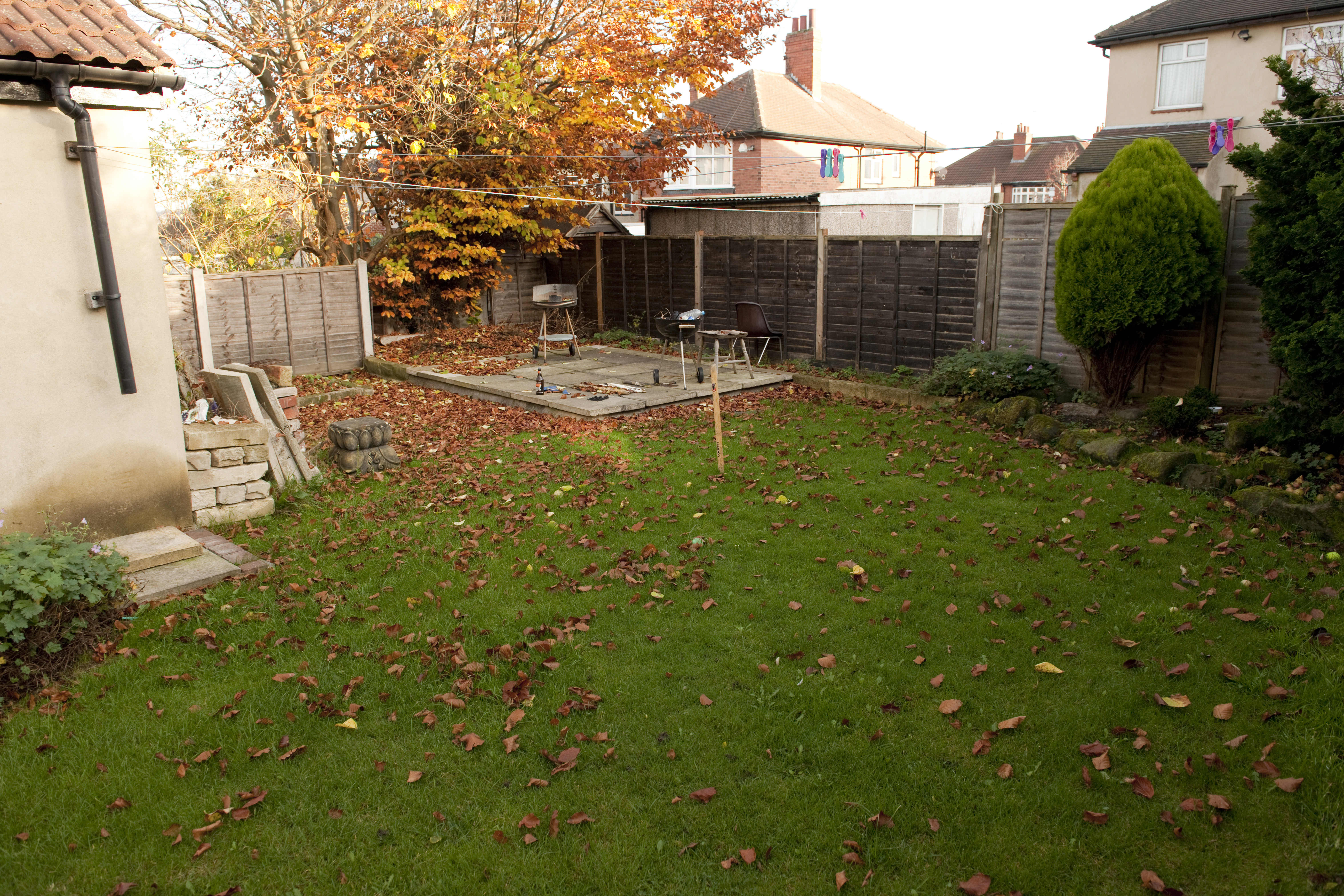 External (Large) (7).JPG