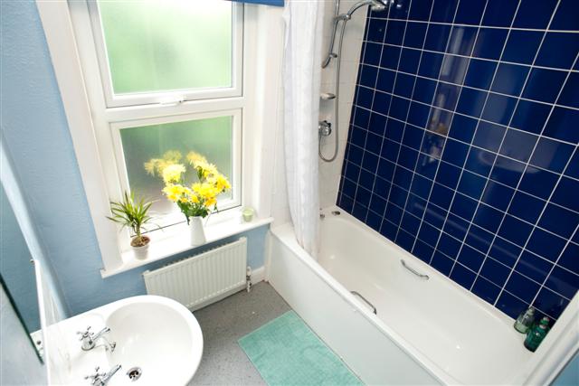 39 VR - Bath (6).JPG