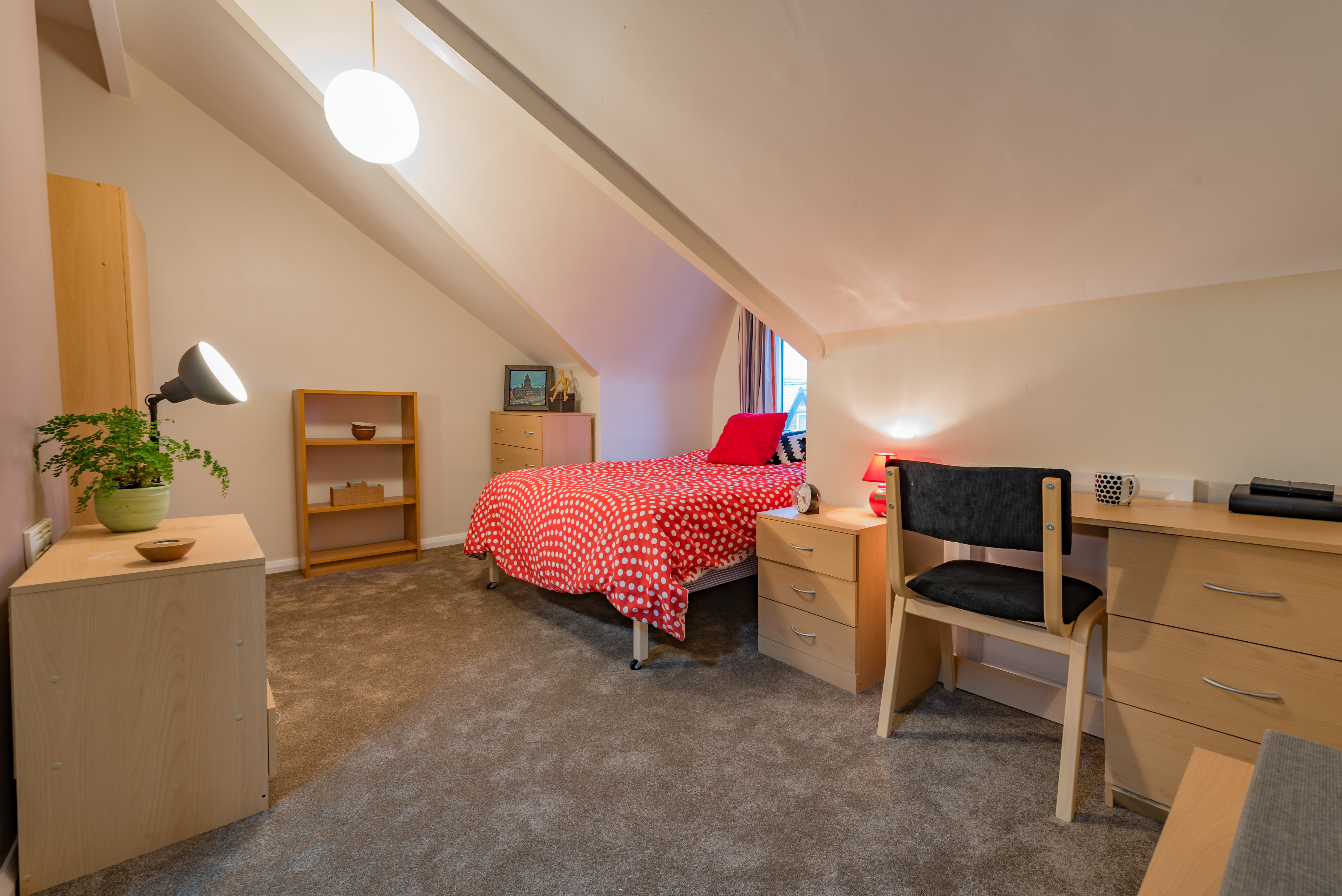 12C Rear Blandford Gardens-19.jpg