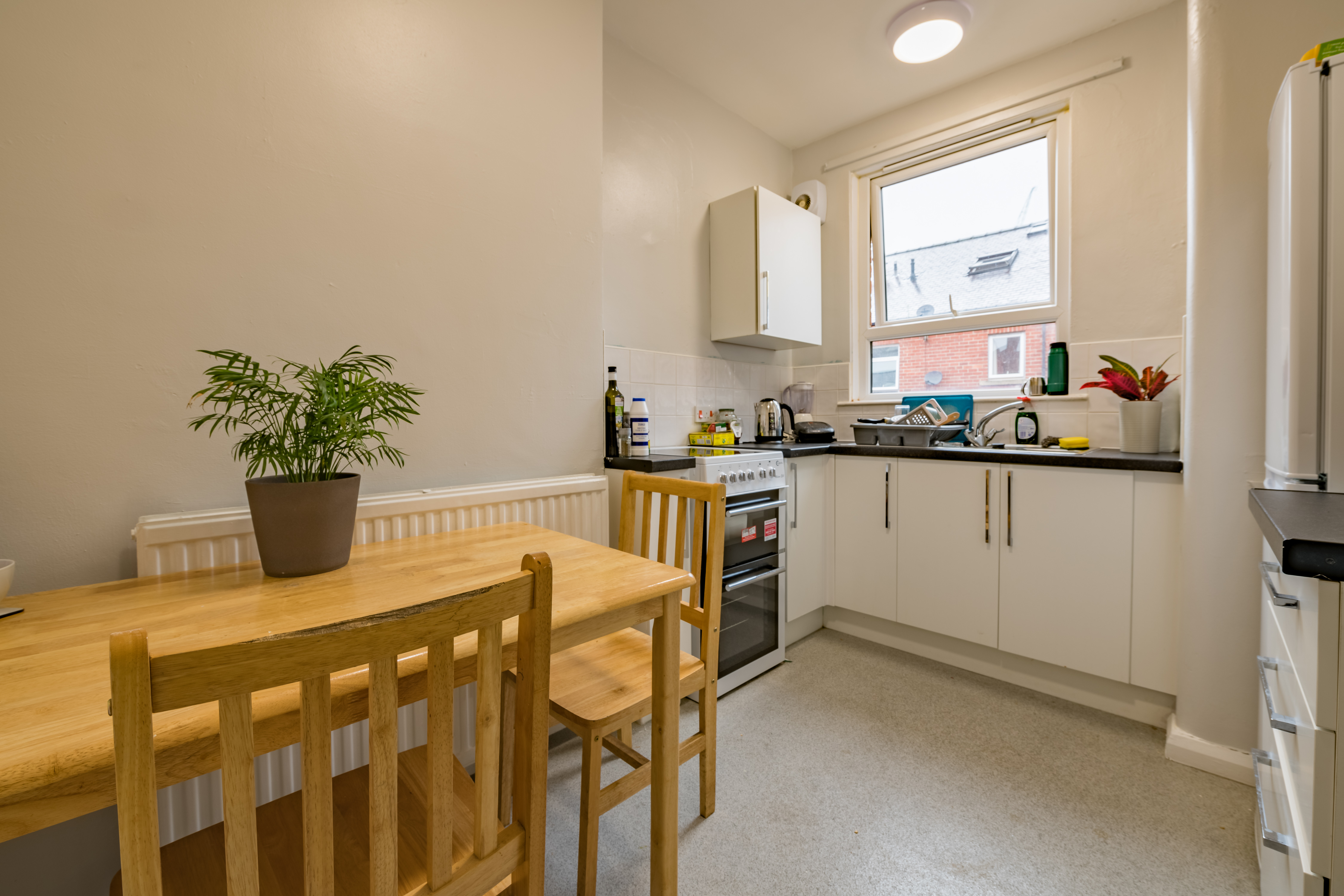 6B Rear Blandford Gardens-7.jpg