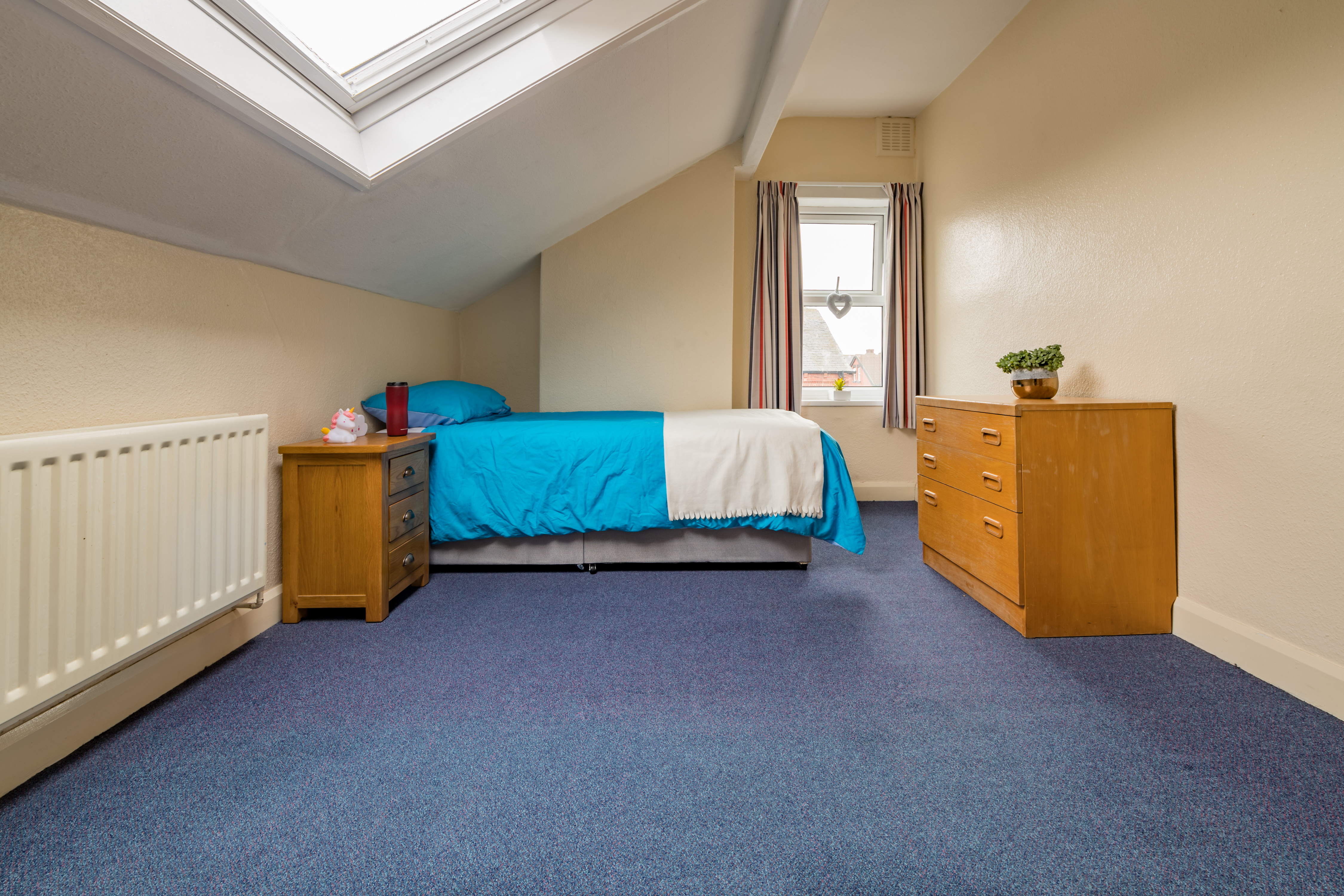 1 Harlech Mount-18.jpg