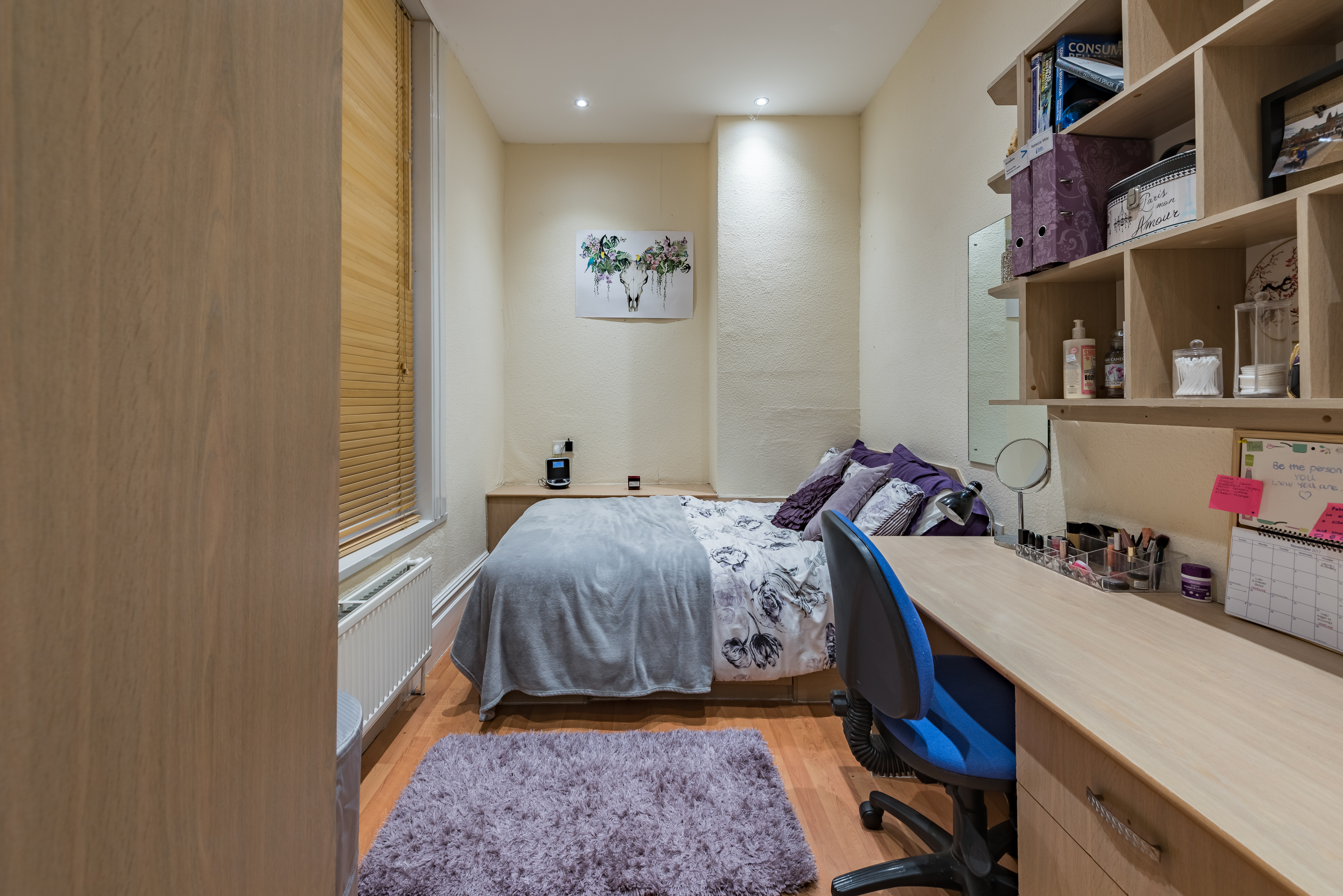 8a Cardigan Road-17.jpg