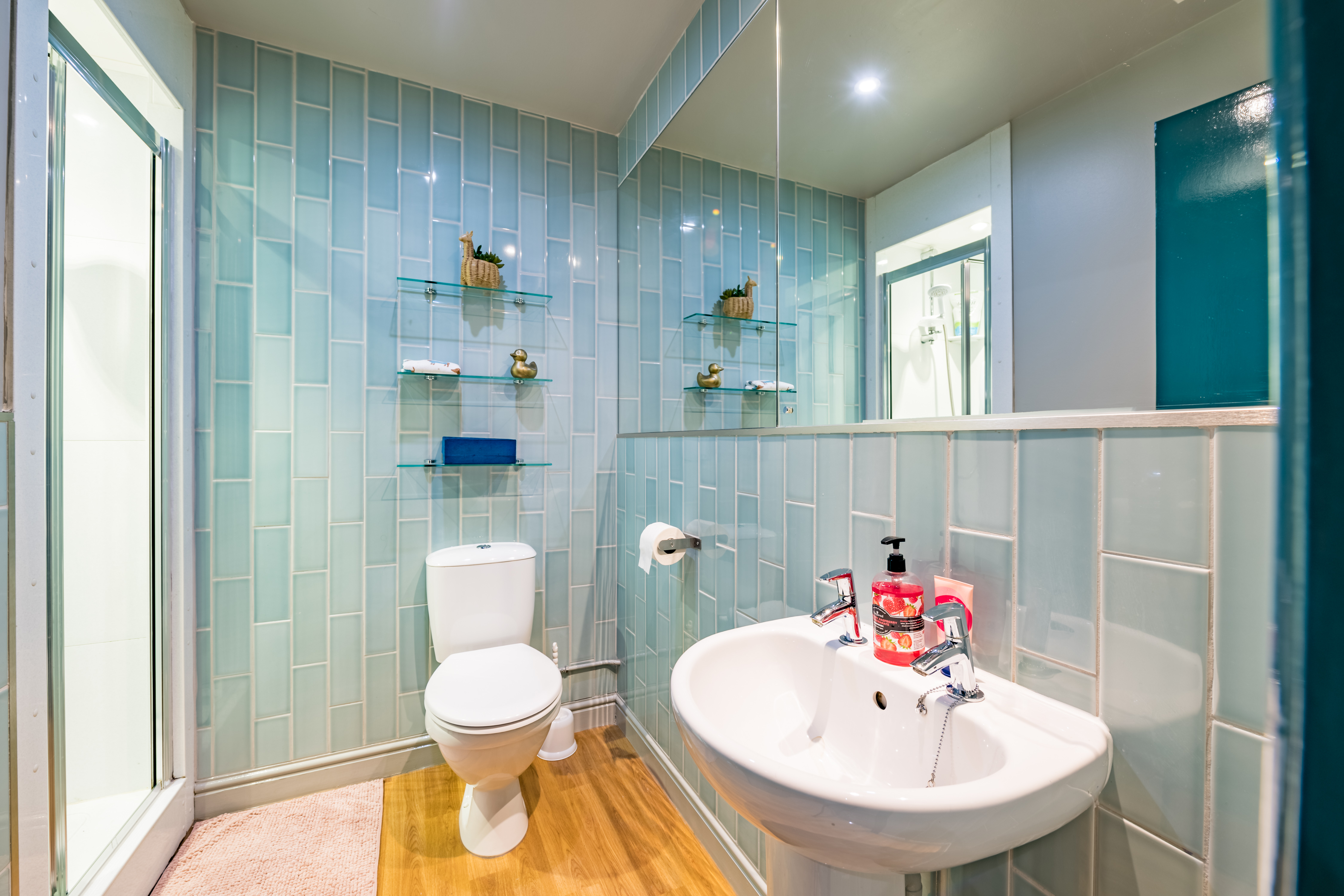 Flat 5 - Alexander Court-19.jpg