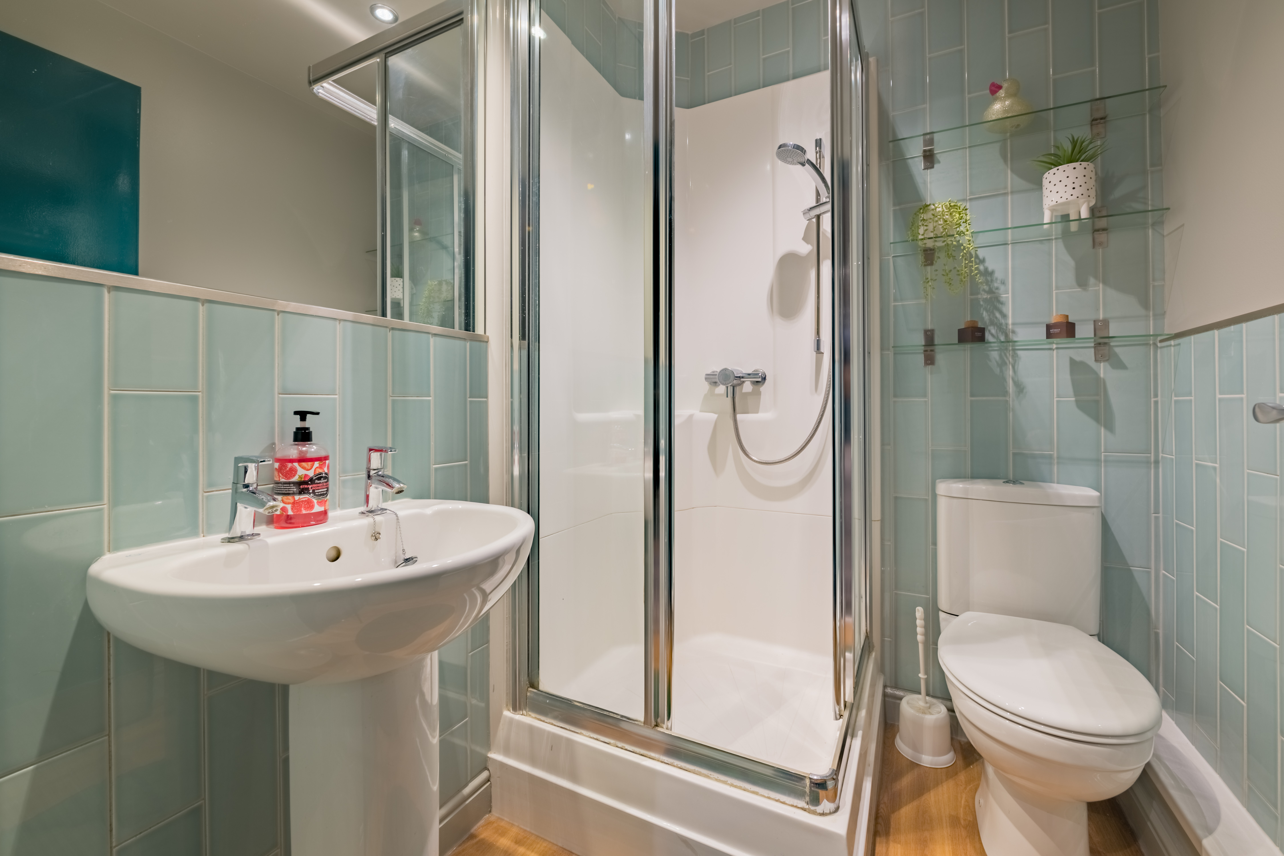 Flat 11 - Alexander Court-30.jpg