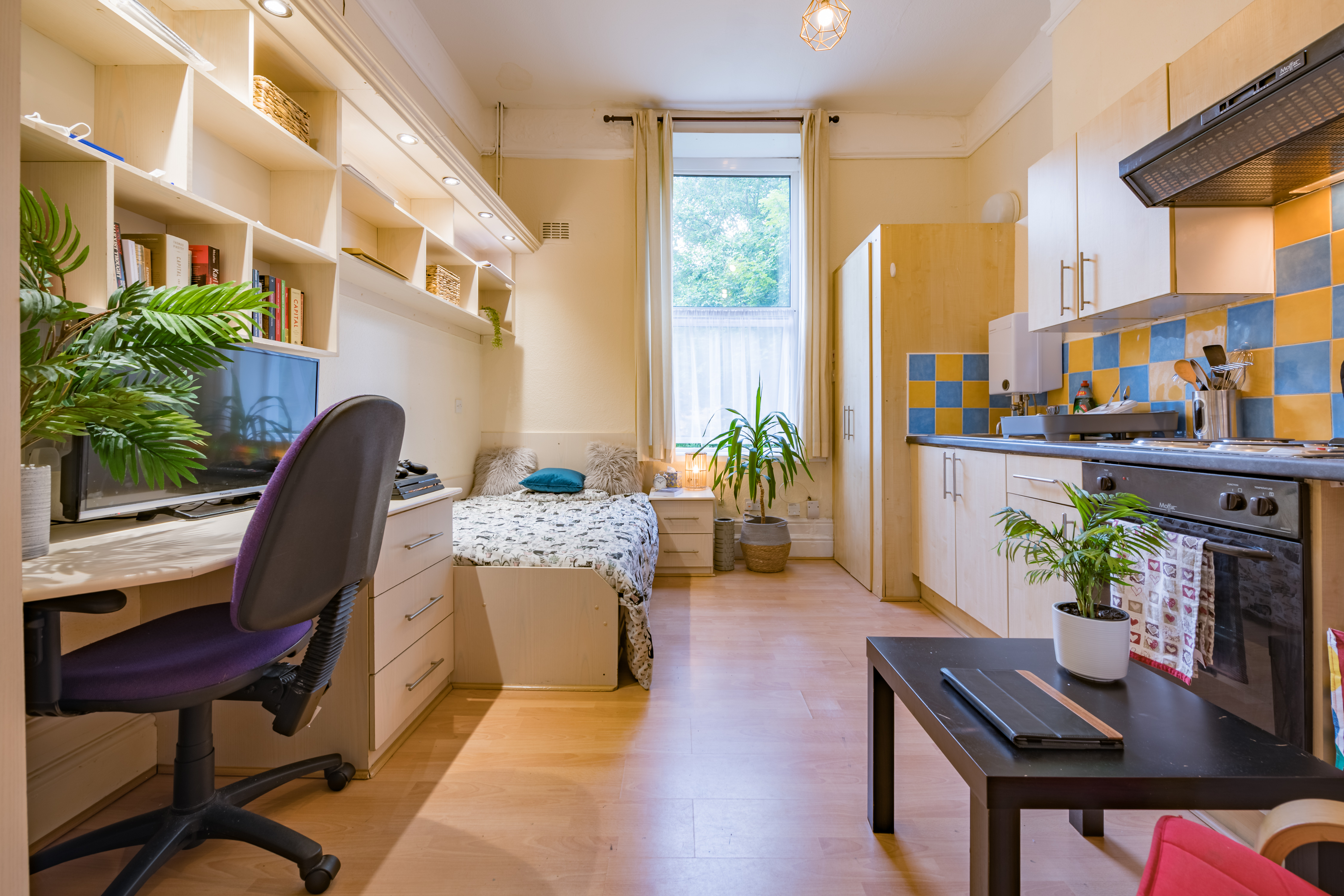 St Martains Terrace Flat 3-2.jpg