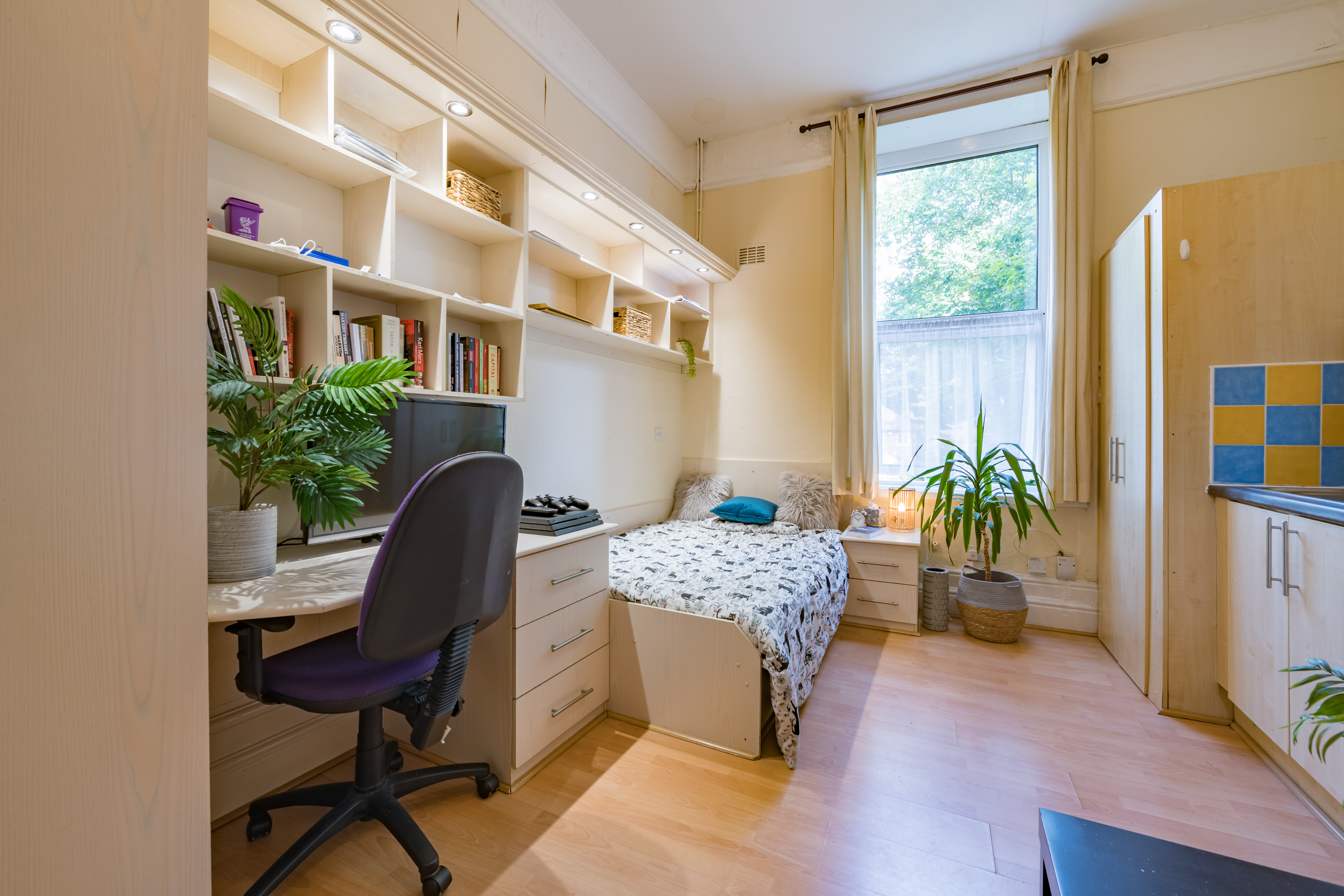 St Martains Terrace Flat 3-3.jpg