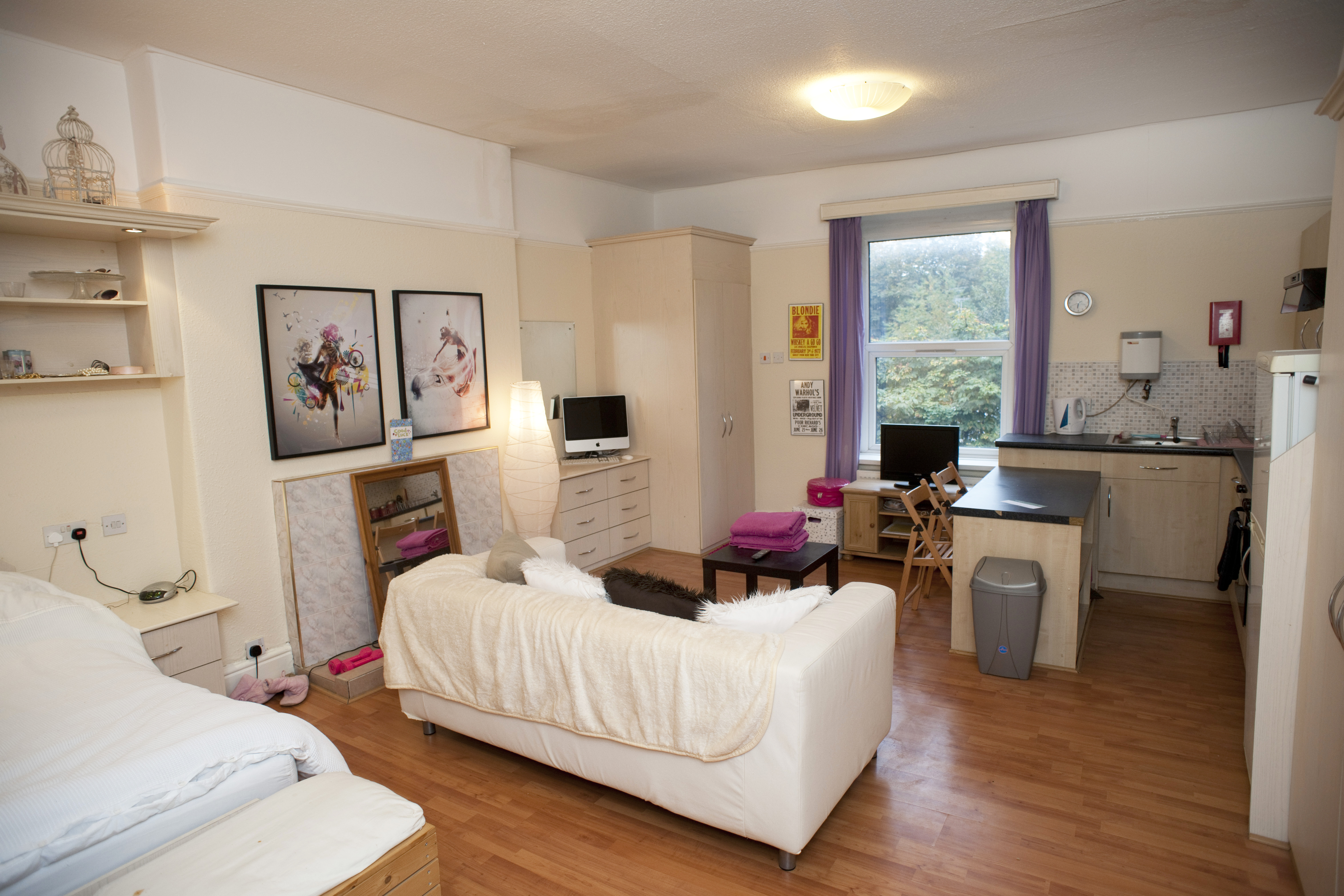 SMT flat 6 (L) (2).JPG