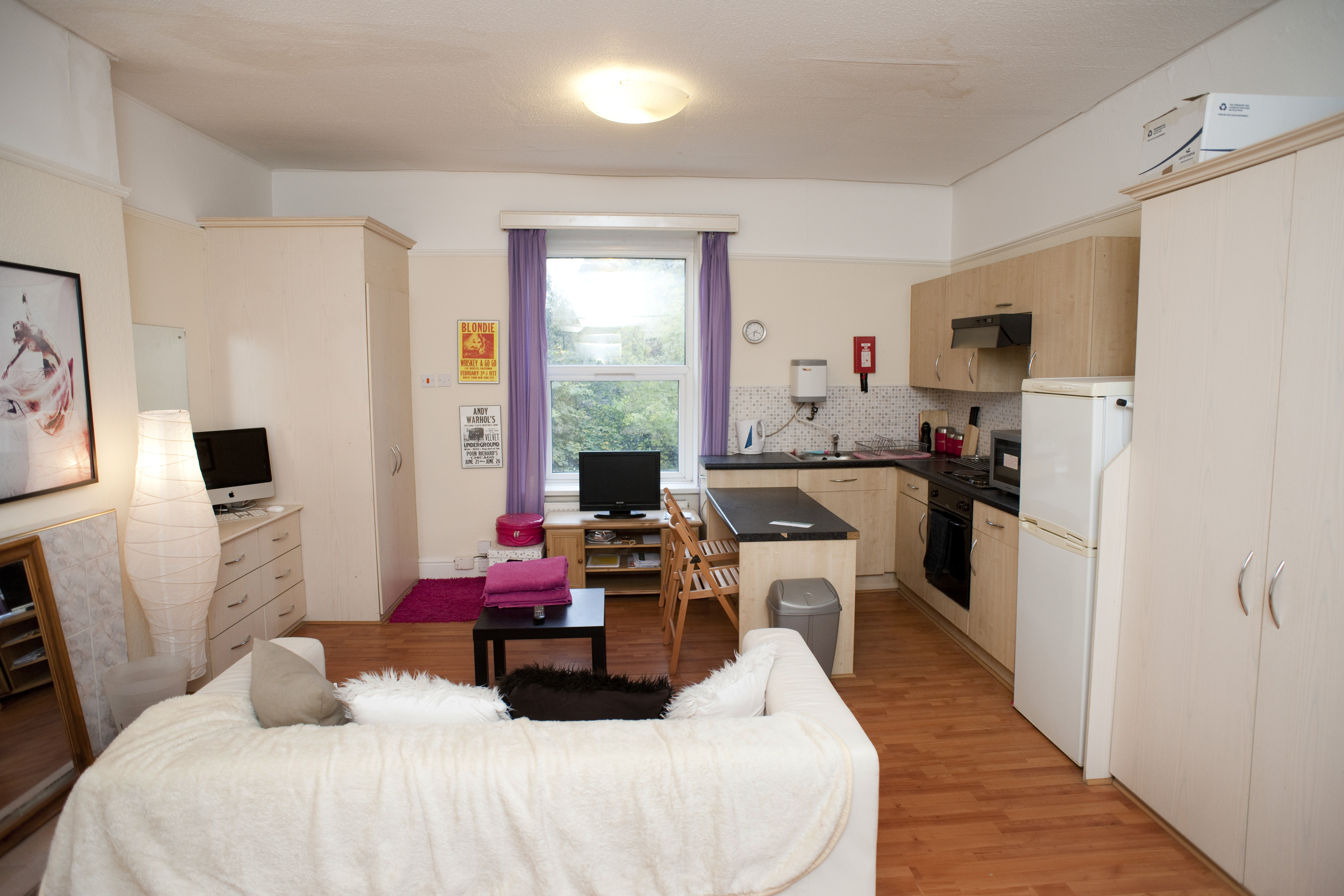 SMT flat 6 (L) (6).JPG