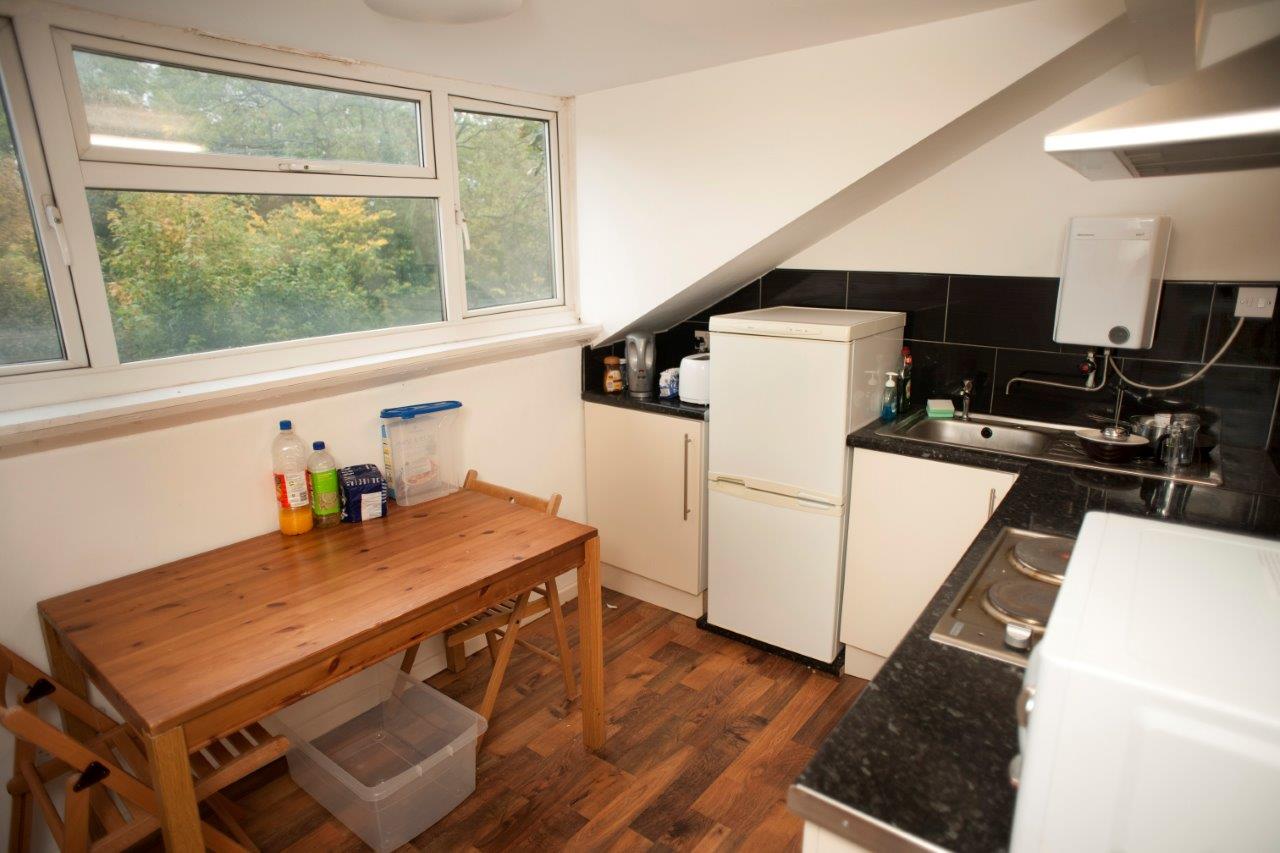 SMT flat 7 (L) (1).jpg